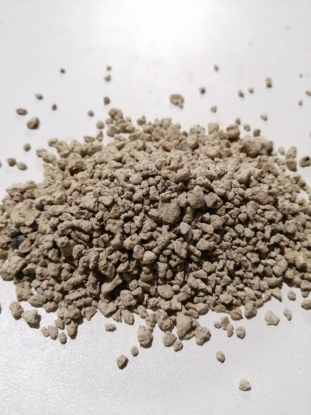 ZOMA Garden Pomice Per Piante, Ideale Per Piante Grasse Vere, Bonsai E Orchidee Pietra Inerte Per Tutti I Substrati, Alta Capacità Di Drenaggio Formato 6 L